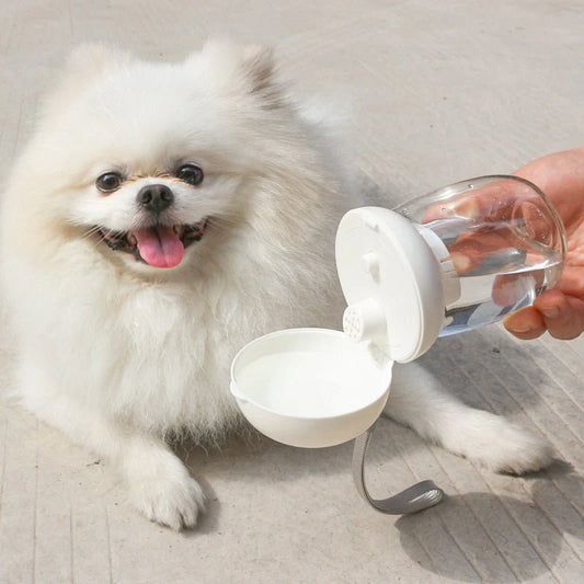 Foldable And Portable Pet Cat And Dog Outdoor Drinking Glass