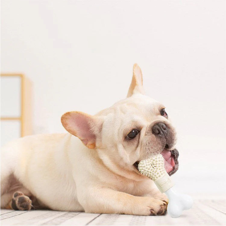 Pet Chewing Toy