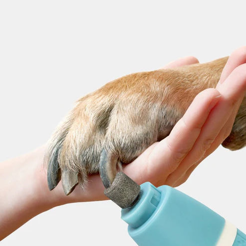 Nail Polisher And Hair Trimmer One Machine Dual Purpose Household Pets