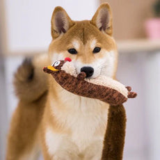 pet-plush-toy