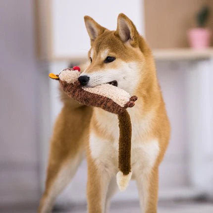 pet-plush-toy