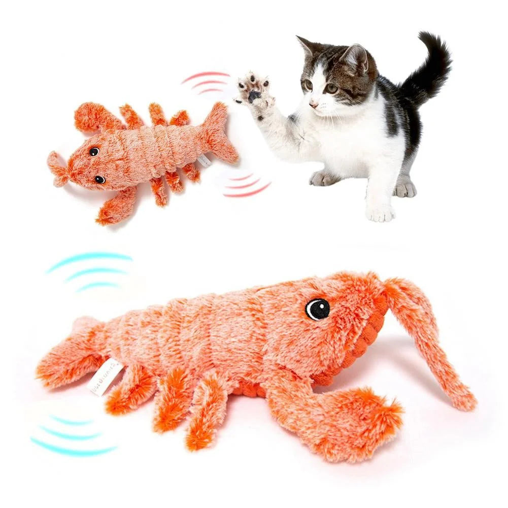 Pet Toy