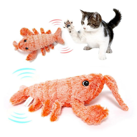 Pet Toy