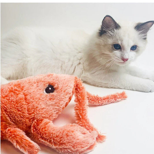 Pet Toy