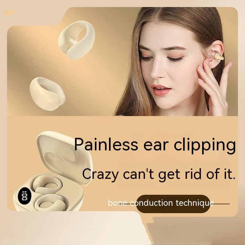 Functional Bluetooth Earphones