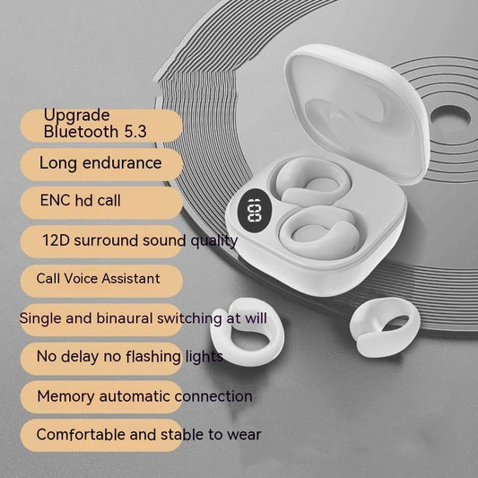 Functional Bluetooth Earphones